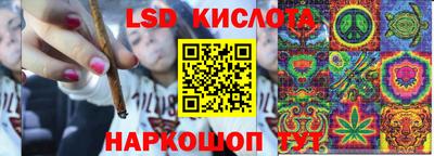 ПСИЛОЦИБИНОВЫЕ ГРИБЫ Азнакаево