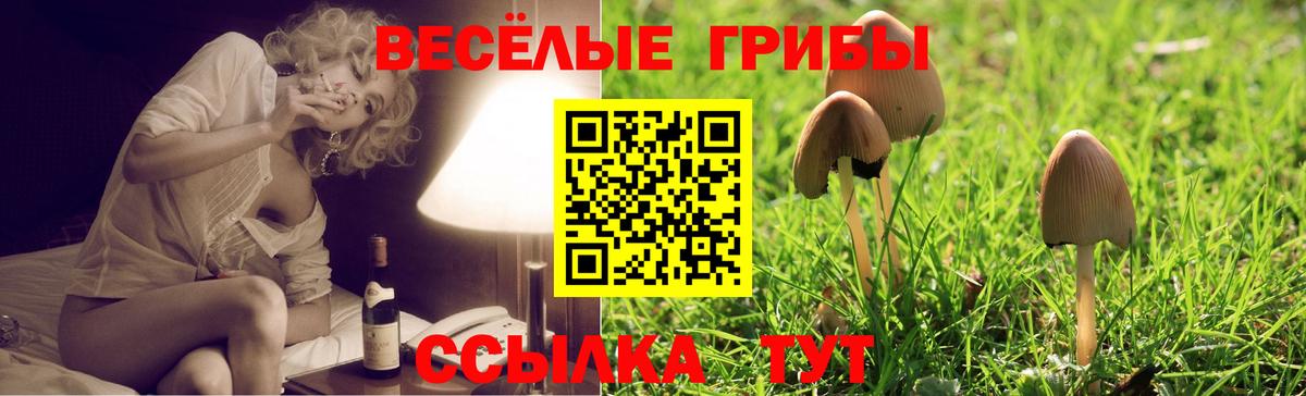 Галлюциногенные грибы мухоморы  Галлюциногенные грибы мицелий  Амурск  Вход с VPN 